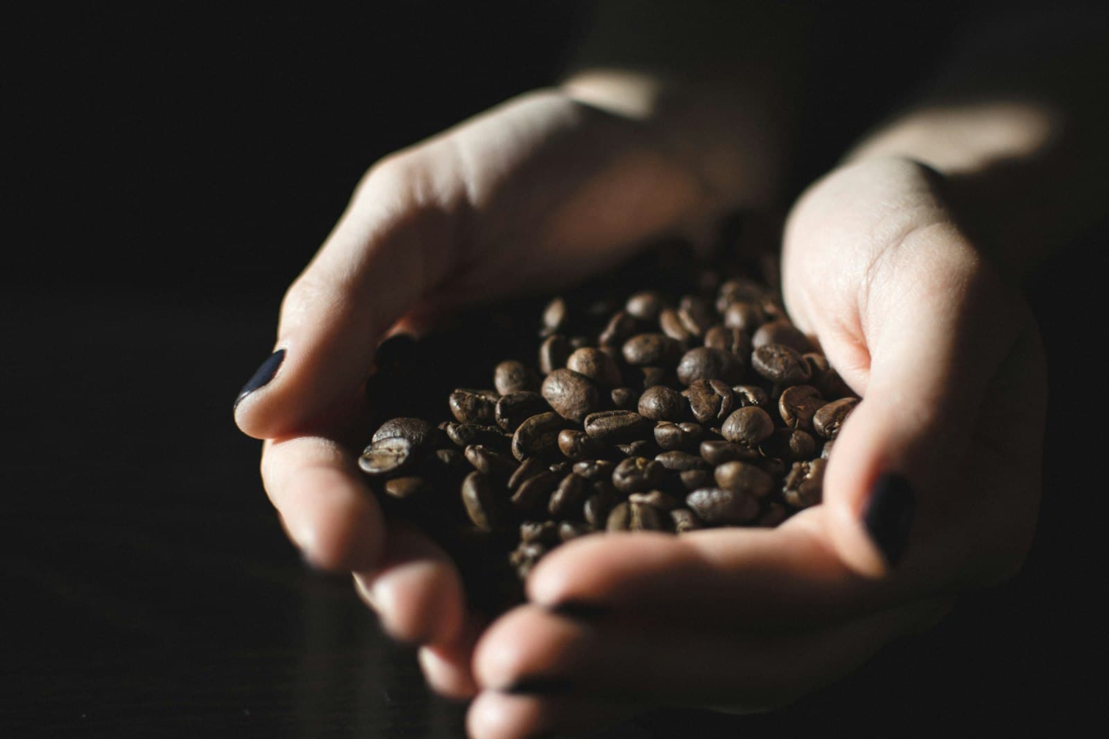 Hand cupping raw coffee beans, editorial still life for the Ugandan coffee growers case study